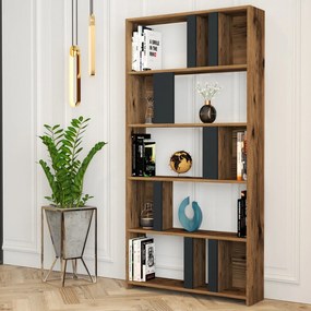 Knižnica Lima - Walnut, Anthracite