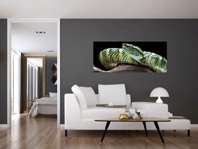 Obraz - Štrkáč Waglerov (120x50 cm)