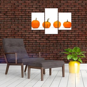 Obraz dyne (90x60 cm)