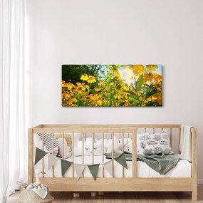 Obraz žltých kvetov (120x50 cm)