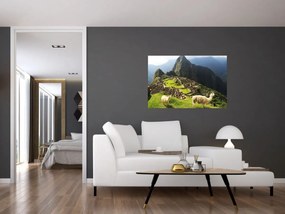 Obraz - Lamy v Machu Picchu (90x60 cm)