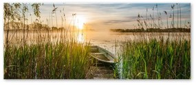 Obraz Styler Boat In The Grass, 125 x 50 cm