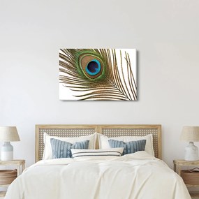 Obraz pávieho peria (90x60 cm)