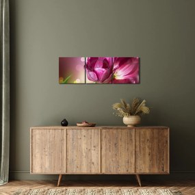 Obraz ružových tulipánov (s hodinami) (90x30 cm)