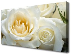 Obraz na plátne Ruže kvety 100x50 cm