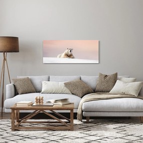 Obraz - Ľadový medveď (120x50 cm)