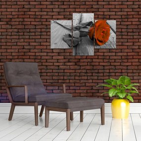 Obraz - Oranžová ruža (90x60 cm)