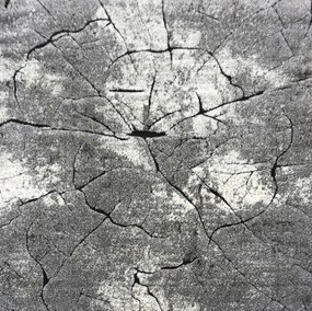 BE Koberec Miami 129 GREY Kwadrad – sivý štvorcový Rozmer: 140x140 cm