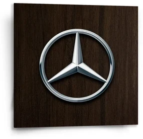 Sablio Obraz Logo 5 Drevo - 50x50 cm