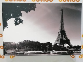 Obraz jesenný Paríž v čiernobielom prevedení