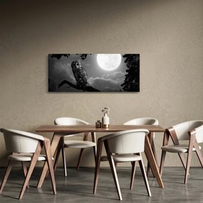 Obraz - Nočná sova, čiernobiela (120x50 cm)