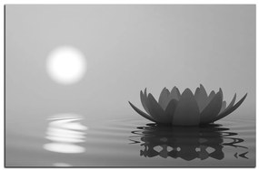 Obraz na plátne - Zen lotus 1167QA (120x80 cm)