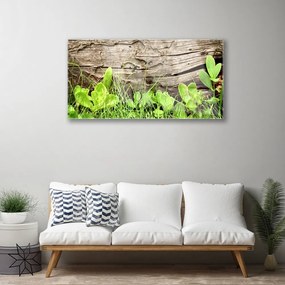 Obraz plexi Tráva listy kvety 100x50 cm