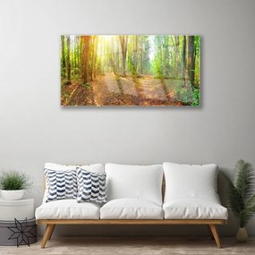 Skleneny obraz Slnko príroda lesné chodník 140x70 cm