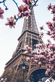 Plagát, Obraz - Paríž - Eiffelova veža, (61 x 91.5 cm)