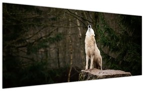 Obraz - Vytie vlka (120x50 cm)