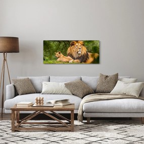 Obraz levov (120x50 cm)
