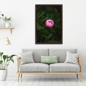 Gario Plagát Osamelá ružová pivonka Farba rámu: Bez rámu, Rozmery: 30 x 45 cm