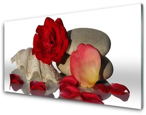 Skleneny obraz Ruže plátky mŕtva príroda 125x50 cm