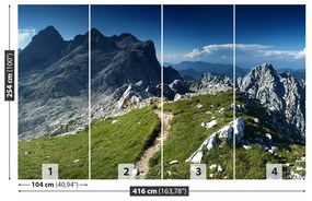 Fototapeta Vliesová Alpy slovinsko 250x104 cm