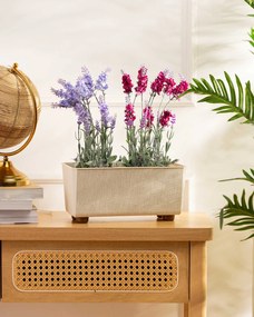 PLASTOVÝ KVETINÁČ SALVIA TX 28,5X17 CM KRÉMOVÁ