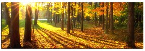 Obraz na plátne - Jesenný les - panoráma 5176A (105x35 cm)