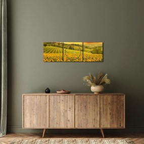 Obraz - Slnečnicové pole (s hodinami) (90x30 cm)
