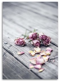 Gario Obraz na plátne Sušené ruže Rozmery: 40 x 60 cm