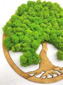 Strom na stenu z machu Lorelei 30 cm