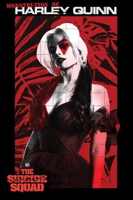 Plagát, Obraz - The Suicide Squad - Monstruitos De Harley Quinn, (61 x 91.5 cm)