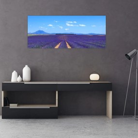 Obraz - Levanduľové pole (120x50 cm)