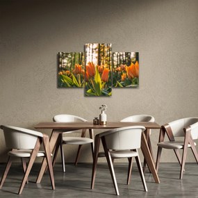 Obraz - kvety tulipánov (90x60 cm)