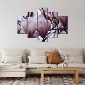 Obraz - Magnolie (150x105 cm)