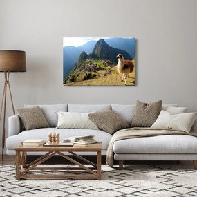 Obrázok - Lama a Machu Picchu (90x60 cm)