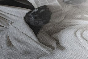 Obraz gorila s novinami na záchode