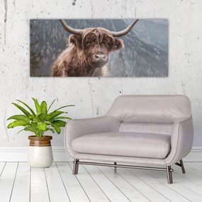 Obraz - Highlander krava (120x50 cm)