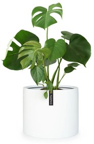 Fox & Fern Gendt, kvetináč, fiberstone, interiér/exteriér