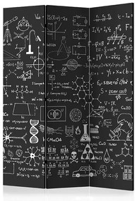 Paraván - Science on Chalkboard [Room Dividers]