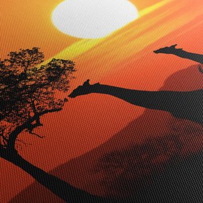 Obraz žirafy pri západe slnka (120x50 cm)