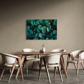 Obraz - Opuncie (90x60 cm)