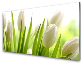 Obraz na akrylátovom skle Tulipány kvety 100x50 cm