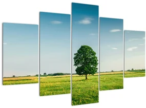 Obraz stromu uprostred lúky (150x105 cm)