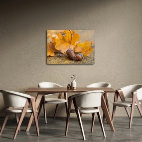Obraz - Jesenné žalude (70x50 cm)