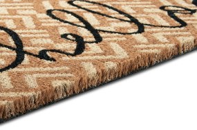 Hanse Home, Rohožka Hello 105681 – na von aj na doma, 45x75, hnedá, chodba / predsieň