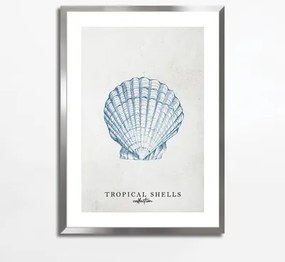 Maľba TROPICAL SHELLS II 50x70 cm