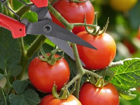 Verk 11422 Ruční zahradní nůžky