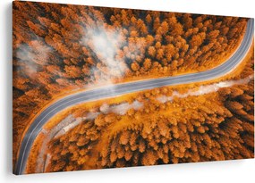 Obraz - Horská cesta (90x60 cm)