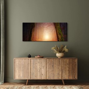 Obraz jesenného lesa v hmle (120x50 cm)