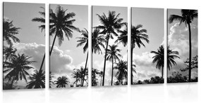 5-dielny obraz kokosové palmy na pláži v čiernobielom prevedení - 100x50