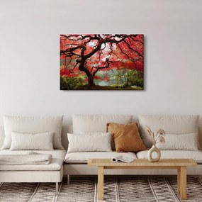 Obraz červeného japonského javora, Portland, Oregon (90x60 cm)